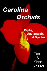 ccard.jpg (10563 bytes)